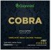 ENC GIANNINI COBRA VIOLA CAIPIRA (D) COBRE PRATEADO GESVM