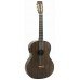VIOLÃO STRINBERG CLASSICO ELETROACUSTICO FOREST FS3C TBS