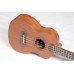 UKULELE STRINBERG ACUSTICO UK06C MGS FOSCO CONCERTO