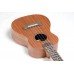 UKULELE STRINBERG ACUSTICO UK06C MGS FOSCO CONCERTO