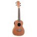 UKULELE STRINBERG ELÉTRICO UK06C MGS FOSCO CONCERTO