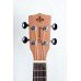 UKULELE STRINBERG ELÉTRICO UK06C MGS FOSCO CONCERTO