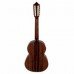 VIOLA CAIPIRA ELETRICA GIANNINI GONCALO ALVES ELETRO ACUSTICA, NS