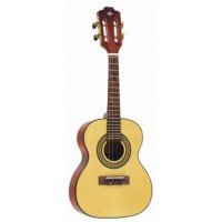 CAVACO STRINBERG ACUSTICO CS25-N 