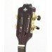 CAVACO STRINBERG ACUSTICO CS25-N 
