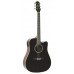 VIOLAO STRINBERG CROMO CD40 BK FOLK