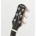 VIOLAO STRINBERG CROMO CD40 BK FOLK