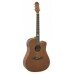 VIOLÃO STRINBERG FOLK CORDAS AÇO SD200 MGS