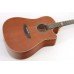VIOLÃO STRINBERG FOLK CORDAS AÇO SD200 MGS