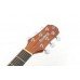 VIOLÃO STRINBERG FOLK CORDAS AÇO SD200 MGS