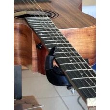 VIOLAO STRINBERG FOREST FS4D-KS