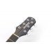 VIOLÃO STRINBERG FLAT CORDAS AÇO SF200C-TOS