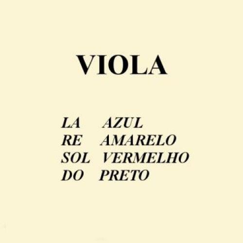 ENC MAURO CALIXTO VIOLA DE ARCO